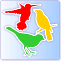 Backyard Birds