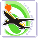 Flying to Europe